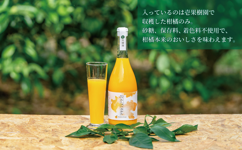 予約受付 愛媛 の 柑橘 ジュース 720ml 2本 セット 壱果樹園 みかん 温州みかん ストレートジュース 100% 果汁 飲料 ギフト 果物 フルーツ 国産 愛媛 宇和島 H015-141001