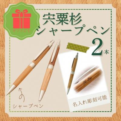 ふるさと納税 宍粟市 宍粟杉シャープペン2本セット(名入れ彫刻可能)RS4 | 