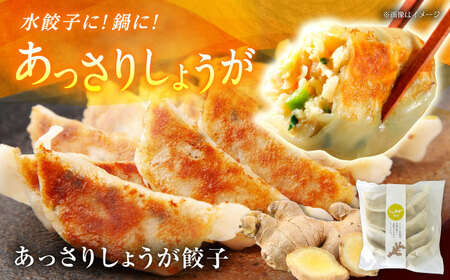 餃子屋ヒロの3種食べ比べセット【餃子屋ヒロ】開成町 餃子　点心 惣菜 冷凍[BDAS002]