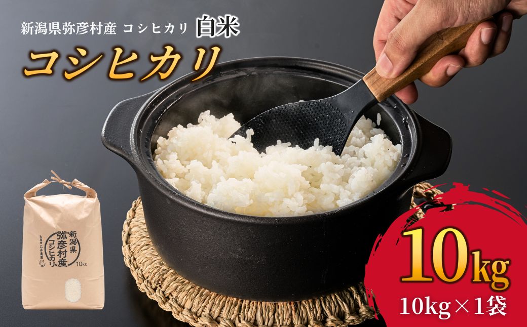 令和8年産新米先行予約  コシヒカリ 白米 10kg | 新潟県 弥彦村 石井農園