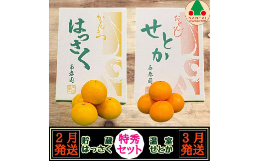 
                  定期便 貯蔵 はっさく ＆ ハウス せとか 全2回 南泰園 特秀 セット みかん
                