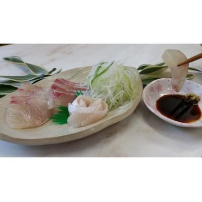 ふるさと納税 錦江町 ふる里館 ヒラマサブロックセット　1ケース(No.1394-1) |  | 02