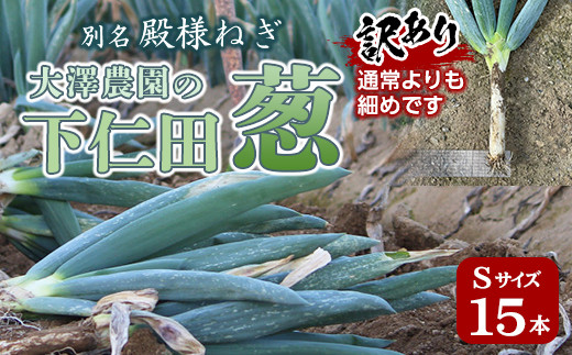 
訳あり（家庭用）別名“殿様ねぎ” 大澤農園の下仁田葱（Sサイズ 15本） とろける 甘い ねぎ ネギ 王様ねぎ 特産 栄養たっぷり ブランド 上州ねぎ すきやき F21K-183
