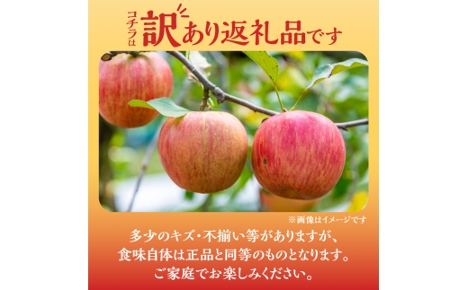 【先行予約：2026年10月中旬より発送】訳アリ りんご（紅玉）2.8kg【北海道余市町産】