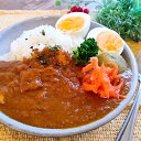 【ふるさと納税】素材にこだわった！ 四万十 チキン カレー 5食セット 〔冷凍〕 四万十鶏 スパイス ［1594］