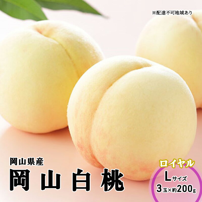 【ふるさと納税】桃 2026年 先行予約 岡山 白桃 ロイヤル 3玉×200g（Lサイズ） 岡山県産 JAおかやまのもも モモ 岡山県産 国産 フルーツ 果物 ギフト 　お届け：2026年8月上旬〜2026年8月下旬