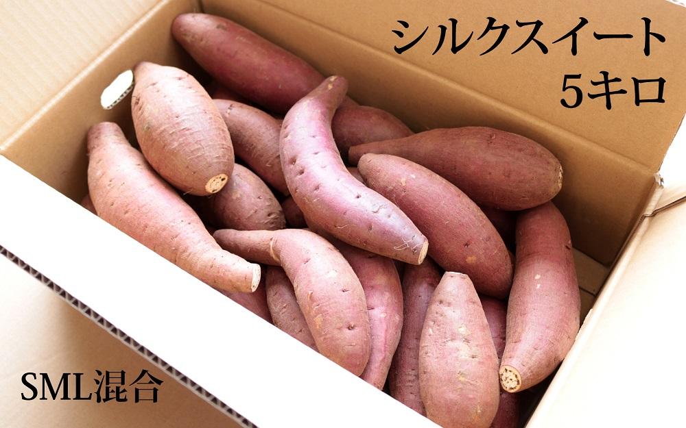 【鹿児島県産】熟成 シルクスイート 5kg (1箱 ) サイズ混合 さつまいも