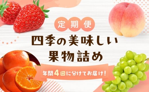 
＜定期便＞四季の美味しい果物詰め　年間４回に分けてお届け！
