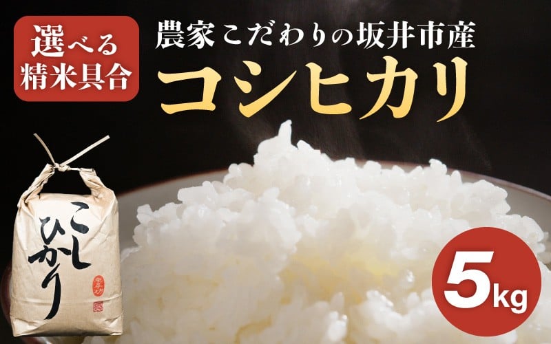 
            【令和7年産】農家こだわりの坂井市産 コシヒカリ 5kg 【選べる精米具合：白米 / 玄米】 【米 コメ お米 5キロ こしひかり ふるさと納税米 ブランド米 国産】 [B-10202]
          