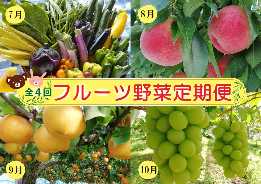 
            【定期便：全４回】フルーツと無農薬野菜の定期便　0148-2502
          