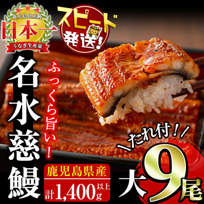鹿児島県産うなぎ蒲焼 名水慈鰻 大9尾(1尾160g以上)＜計1.4kg以上＞ e8-001