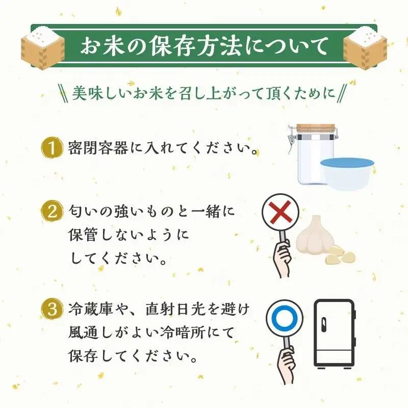 【定期便】 令和8年産 つや姫 5kg 2ヶ月連続 精米 お米 米 こめ コメ  
