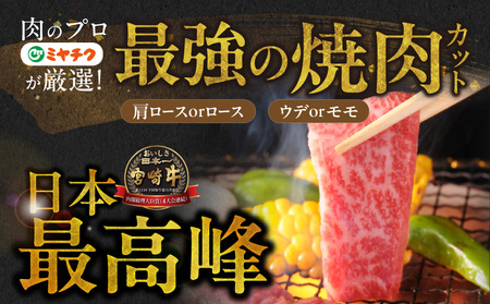 畜産農家応援! 宮崎牛焼肉2種セット250g×2パック+豚肉ハンバーグ100g×4個_13-N202-ESH_(都城市) 赤身 霜降り 食べ比べ 肩ロース ウデ モモ 焼き肉 牛肉 とろける BBQ 