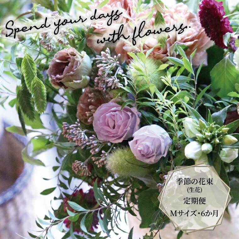
                  季節の花束(生花)の定期便・Mサイズ(6か月)〈 花 定期便 生花 お花 記念日 誕生日 お祝い ギフト プレゼント インテリア 自宅用 全国発送 送料無料 冷蔵 そのまま飾れる 花器なし おすすめ かわいい ※お届け日指定不可 〉 [№5412-0460]
                