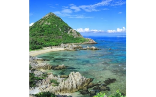 フェリーいぜな尚円 往復&島内限定 1泊2日ペア宿泊チケット(2食付き)【1706982】