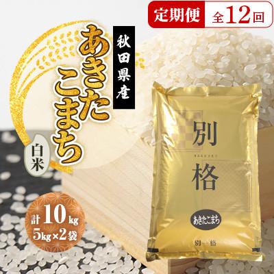 ふるさと納税 大潟村 【毎月定期便】あきたこまち 白米 10kg(5kg×2袋)全12回