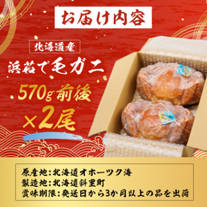 北海道産　浜茹で毛ガニ　570g前後×2尾【配送不可地域：離島・沖縄県】【1664344】
