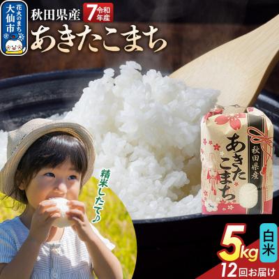 ふるさと納税 大仙市 定期便12ヶ月 白米 あきたこまち 5kg 秋田県産 令和7年産|22_kml-010512