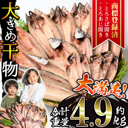 No.406-C 大きめ干物詰合せ＜合計約4.9kg＞ 干物 セット 詰め合わせ ひもの 魚介類 魚 あじ さば おかず おつまみ お楽しみ 【みのだ食品】
