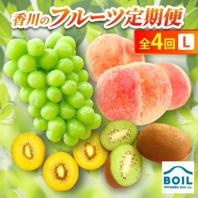 ふるさと納税 香川県 【発送月固定定期便】香川のフルーツ(4L)全4回