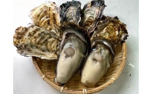 
【生食用】深層水仕込みの殻付真牡蠣・岩牡蠣【真牡蠣5個・岩牡蠣2個セット】
