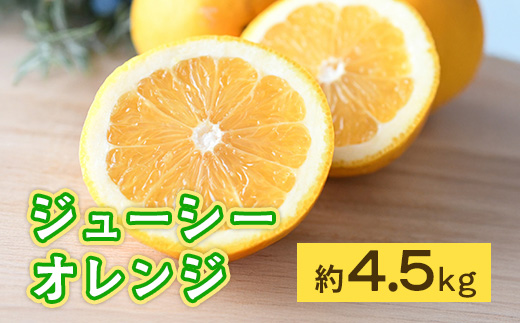 【先行予約】 ジューシーオレンジ 約4.5kg みかん ミカン オレンジ 蜜柑 果物 柑橘 河内晩柑 フルーツ くだもの 熊本 九州産 甘い ビタミンC グレープフルーツ 家庭用 自宅用 国産 くまふ