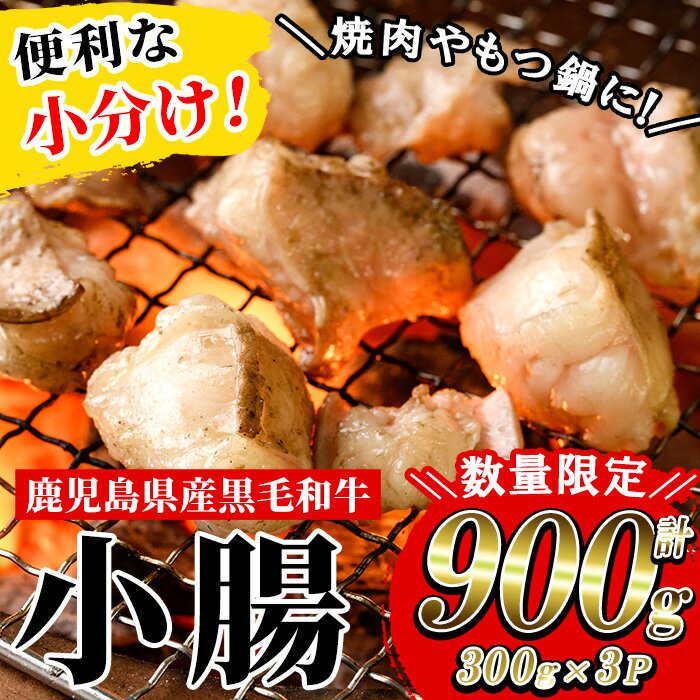 【ふるさと納税】≪数量限定・小分けタイプ≫鹿児島県産黒毛和牛 小腸(計900g・300g×3P) しょうちょう ホルモン もつ鍋 焼肉 鍋 焼肉用 焼き肉 バーベキュー 冷凍 牛肉 肉 もつ モツ 内臓 国産 国産牛 九州 黒毛和牛 モツ鍋 もつなべ 分け こわけ 便利 ギフト【バクロ】