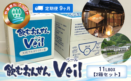 【定期便9ヶ月】飲むおんせんベール11LBOX【2箱セット】【 温泉水 温泉純度100％ 保存水 防災 神奈川県 山北町 】