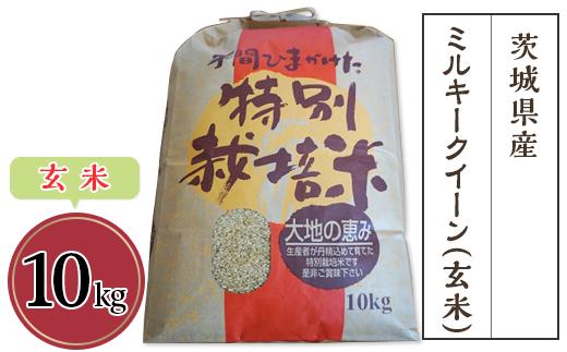 茨城県産ミルキークイーン（玄米）10kg【 米 お米 コメ 国産 下妻市 】