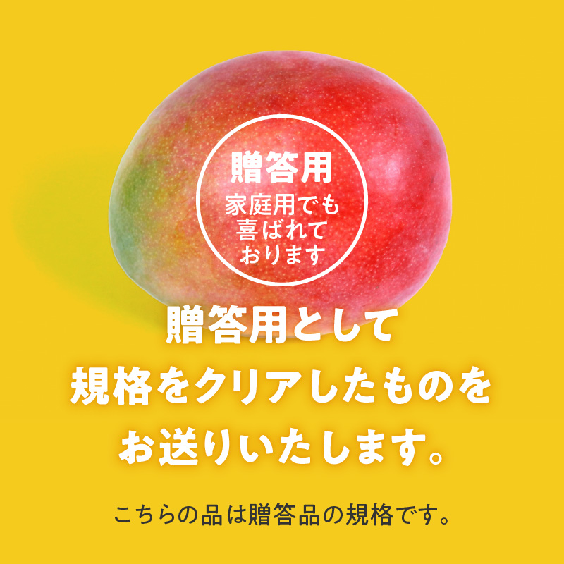 【2027年6月以降お届け】くるめで育った完熟マンゴー（3玉：約1kg）_贈答用 トロ～ッと口のなかでとろける くるめで育った 完熟マンゴー 甘い 子供も安心 フルーツ  果物 マンゴー 完熟 国産 