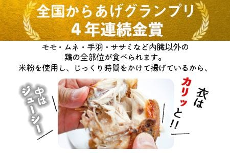 ＜半身からあげ5本セット(塩味×3本 スパイス味×2本)＞翌月末迄に順次出荷【 鶏肉 唐揚げ おつまみ 米粉 クリスマス 食べ比べ 】【a0032_hi】