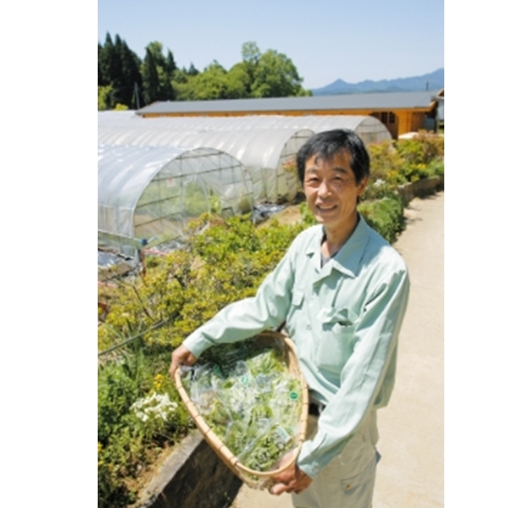 定期便3回 よもぎ & 大和当帰 入浴剤 50包 /ウェルネスフーズ UDA ふるさと納税 無添加 有機栽培 おすすめ リラックス ストレス解消 ボディケア 肌荒れ改善 疲労回復 送料無料 奈良 宇陀