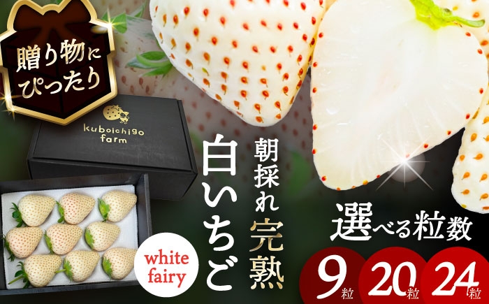 
            【選べる個数】【先行予約】 ＼毎年1月より順次発送／ 白いちご　White Fairy 9粒 / 20粒 / 24粒 愛西市 / くぼ苺農園 【配達不可：北海道・沖縄・離島】 [AECJ016]
          