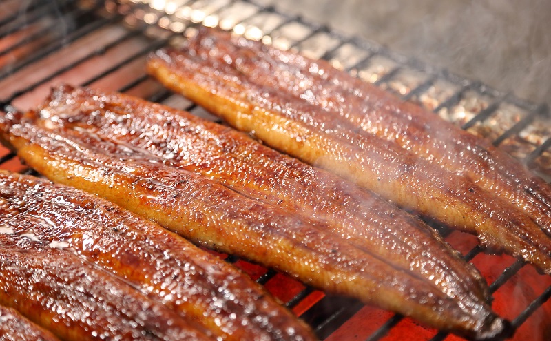 国産うなぎ長蒲焼120g×2尾＆調理済み浜松餃子5ケ入×2パック詰め合わせ【配送不可：離島】 国産 うなぎ 鰻 ウナギ長蒲焼 真空パック 焼き餃子 ぎょうざ 浜松餃子 詰め合わせ 冷凍 浜松市 静岡【