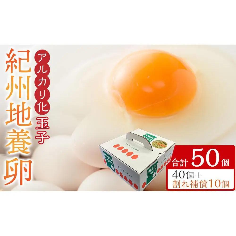 アルカリ化 玉子 紀州地養卵 合計 50個入 (40個＋割れ補償分10個）卵 たまご 玉子 タマゴ 鶏卵 まとめ買い オムレツ 卵かけご飯 朝食 業務用