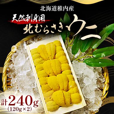 ふるさと納税 稚内市 『天然刺身用』北むらさきウニ240g