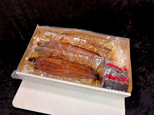高知県産養殖うなぎ蒲焼 10尾(合計1000g以上) - 鰻 ウナギ 国産 蒲焼き かば焼き かばやき うな丼 うな重 ギフト お中元 御中元 父の日 お礼 御礼 感謝 贈答 贈り物 土用の丑の日 高