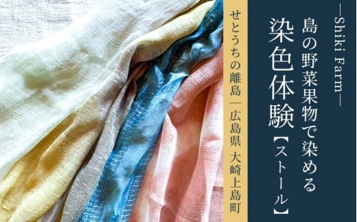 
                  島の色に染めてみよう！大崎上島の野菜果物染め体験ペア利用（ストール）
                