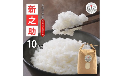 令和8年産 先行予約 上越市産 新之助 10kg 10キロ 精米 新潟県 上越市 板倉区 コメランド しんのすけ 限定 おすすめ 米 コメ