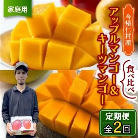 【発送月固定定期便】家庭用マンゴー2種食べ比べ(アップルマンゴー＆キーツマンゴー)全2回【配送不可地域：離島】【4074843】