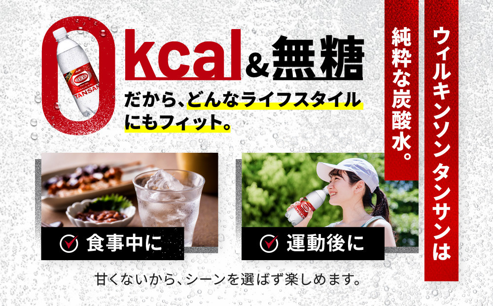 アサヒ飲料 ウィルキンソン タンサン（500mlペットボトル×24本×2箱） 炭酸水 ウィルキンソン 48本 ケース PET ドリンク 飲料 飲み物 人気 おすすめ 送料無料 備蓄 保存
