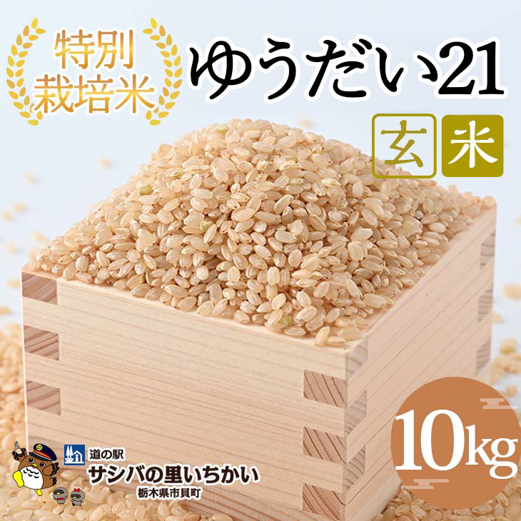 
            市貝町産 特別栽培米〈ゆうだい21〉玄米10kg ｜ 国産 栃木県産米 お米 特別栽培米 栃木米 とちぎ米 ※離島への配送不可 ※2025年9月中旬頃より順次発送予定
          
