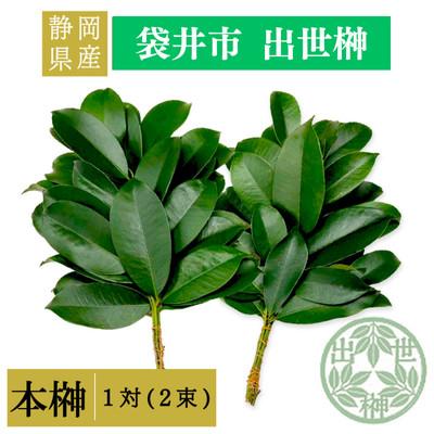ふるさと納税 袋井市 静岡県産袋井市　出世榊　本榊　純国産　さかき1対(2束)※1日交換に間に合うように配送