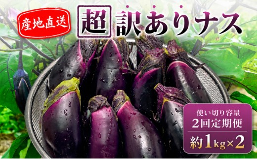【先行受付】 【2回定期】 安田町産 「超」 訳あり ナス なす なすび 1kg×2回 定期便 新鮮 野菜 茄子 産地直送 季節限定 夏野菜 ふるさと納税茄子 ふるさと納税なすお漬物 漬物 味噌汁 みそ汁 マーボーナス 麻婆ナス 麻婆茄子 煮びたし 天ぷら フライ はさみ揚げ 煮浸し 焼なす やきなす 焼きナス わけあり 傷 きず 不揃い B級品 伏流水 高知 安田町 安田川 YM1000_26