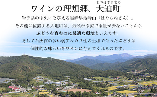 ≪ギフト箱入り≫ 五月長根 （赤・白） 750ml×2本セット エーデルワイン 【2147G】