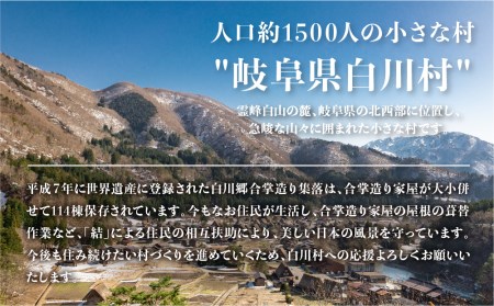 《返礼品なし》3000円 岐阜県白川村への寄附 応援寄附金 世界遺産 白川郷 [S307]
