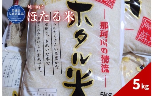 ほたる米 5kg 米 こめ コメ お米 おこめ コシヒカリ ホタルマイ 白米 精米 ごはん ご飯 令和7年産 茨城県 城里町 高萩市（茨城県共通返礼品・城里町産）
