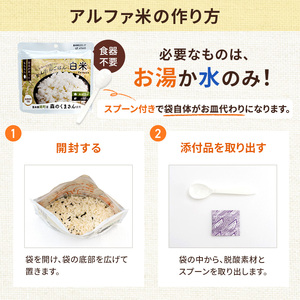 熊本県錦町産森のくまさん使用！ 白米 100g 10袋セット もちもち食感　甘みしっかり アルファ米 保存食 非常食 長期保存 アルファ化米