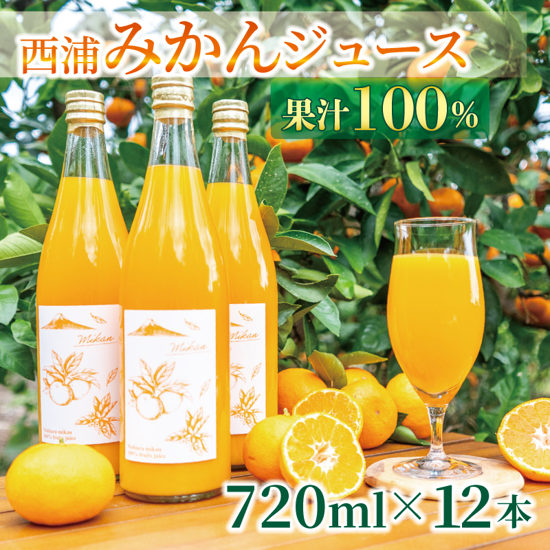 果汁100％ みかんジュース 720ml×12本 西浦 2025年2月以降順次発送