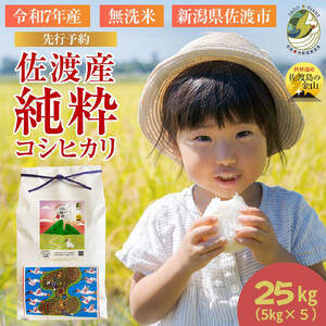【新潟県佐渡】佐渡産の純粋コシヒカリ25kg＜数量限定＞ 令和７年産 精米【無洗米】5kg×5袋